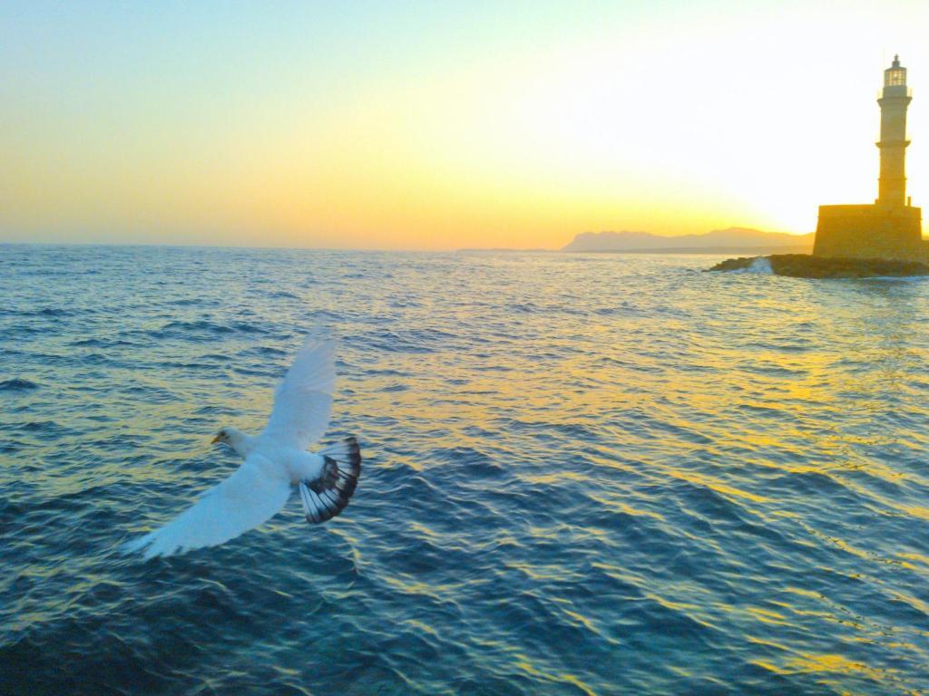 Hotel Amphora Hanya Dış mekan fotoğraf